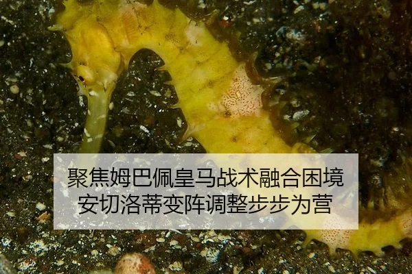 ju-jiao-mu-ba-pei-huang-ma-zhan-shu-rong-he-kun-jing-an-qie-luo-di-bian-zhen-tiao-zheng-bu-bu-wei-ying-3-168.jpg