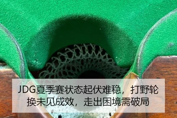 JDG夏季赛状态起伏难稳，打野轮换未见成效，走出困境需破局