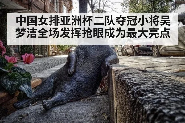 中国女排亚洲杯二队夺冠小将吴梦洁全场发挥抢眼成为最大亮点